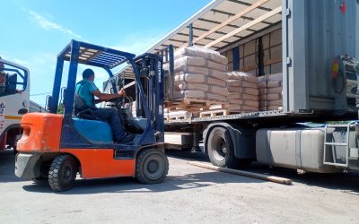 Case Study: Distributor facing transport staffing and efficiency issues